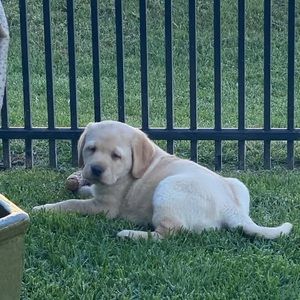 Meet your Posher, Jeanette